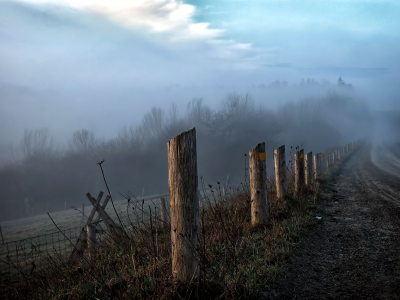 туман, забор, дорога, пейзаж, утро