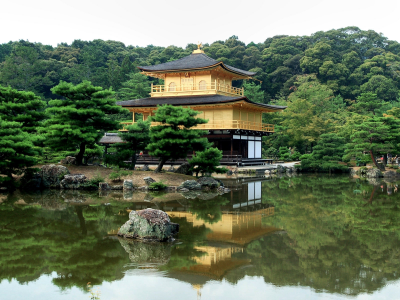 деревья, река, япония, пагода