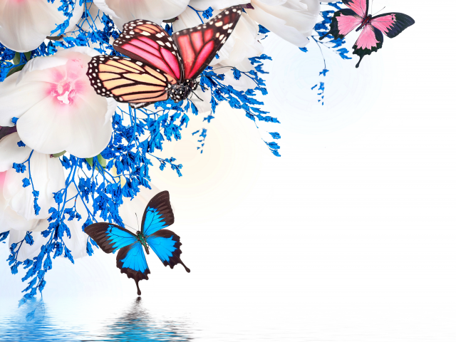 butterflies, blossom, flowers, purple, water, reflection, весна, tulips, spring