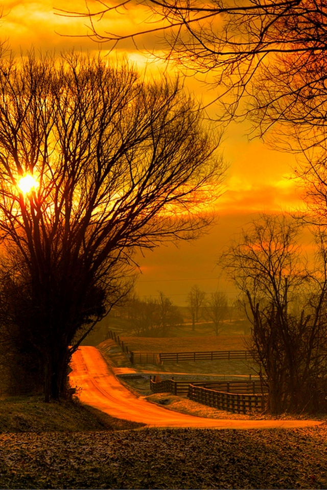 fall, road, forest, nature, sky, leaves, sunrise, colorful, sun, sunset, field, trees, path, autumn