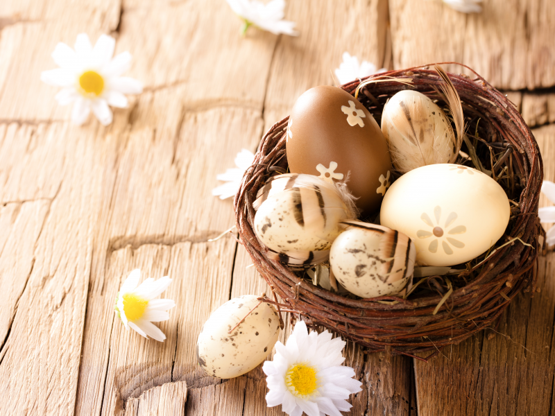 eggs, wood, flowers, пасха, ромашки, easter, яйца, camomile