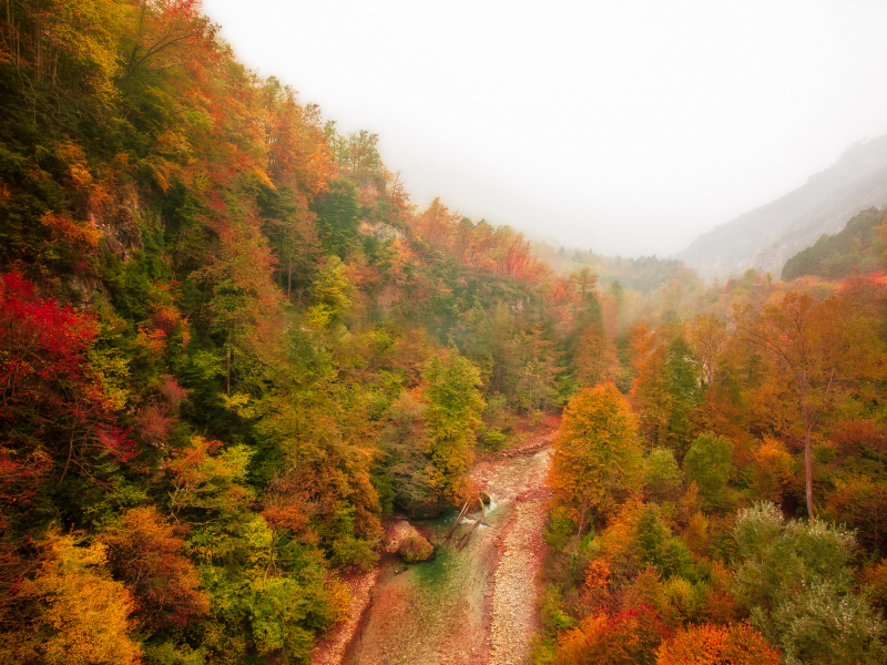 туман, река, горы, лес, осень