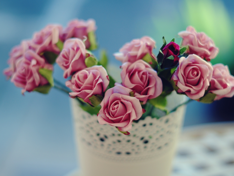 цветочки, роза, розочка, цветы, розы, ваза, розовая