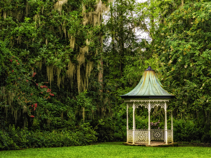 сады магнолий, magnolia gardens, south carolina, charleston, чарлстон