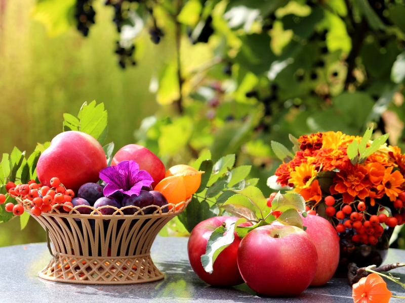 корзина, яблоки, рябина, сливы, стол, фрукты, цветы
