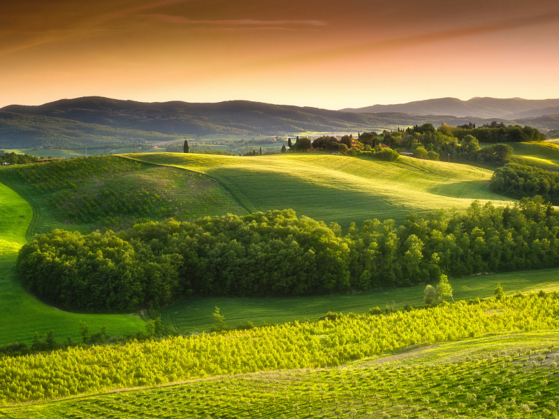 green field, , italy , landscape, nature, sky, tuscany , италия, countryside, trees