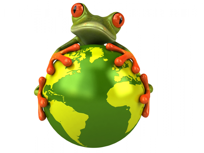 взгляд, глаза, планета, графика, лягушка, free frog 3d