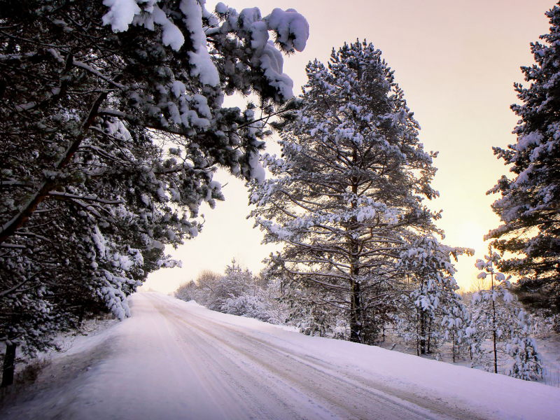 снег, зима, деревья, дорога