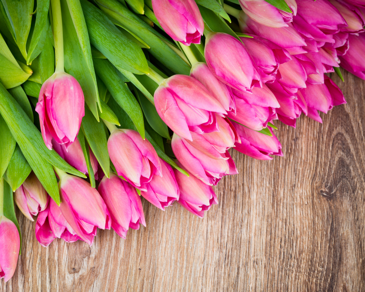 букет, тюльпан, розовые тюльпаны, цветы
