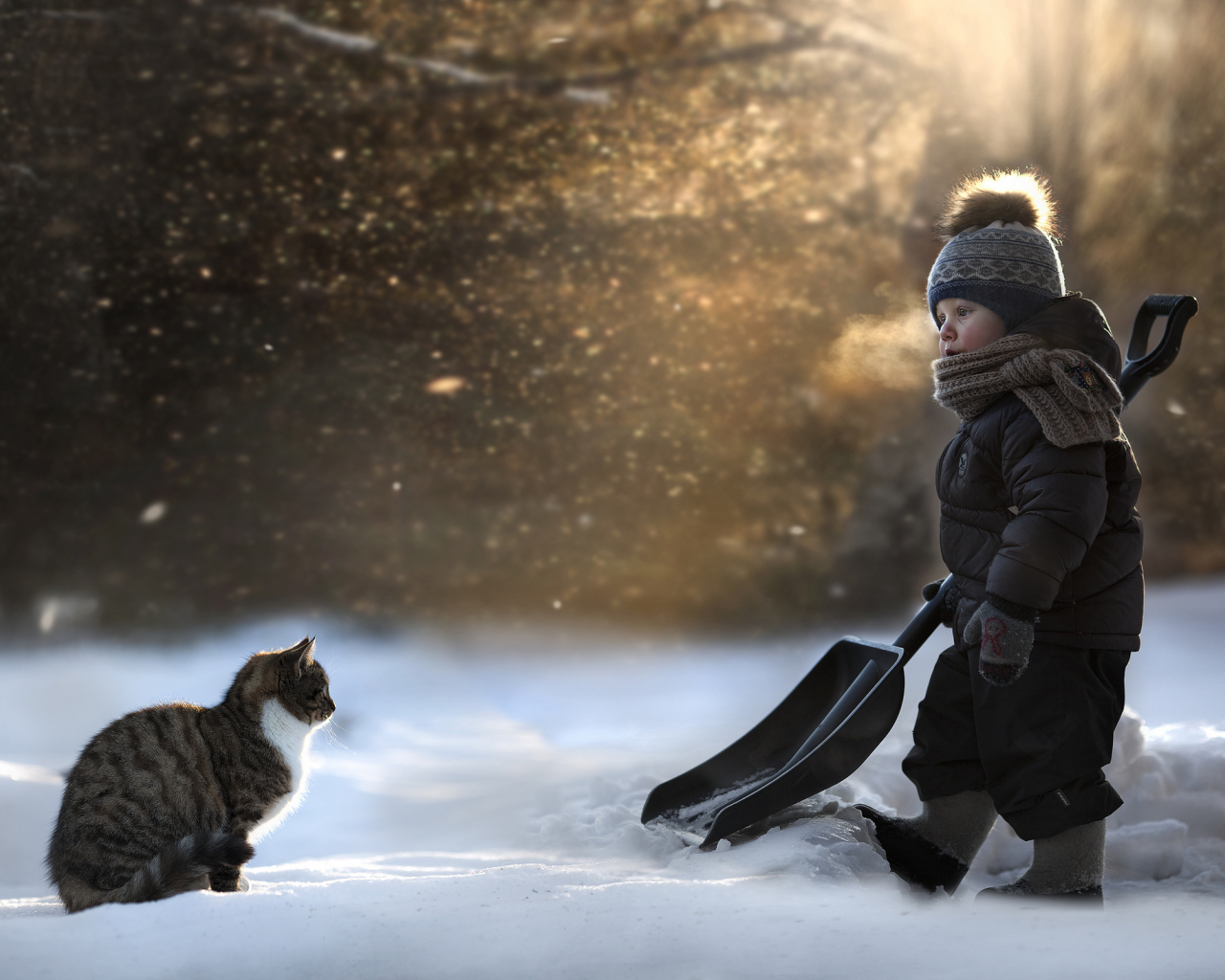 ребёнок, снег, кошка, лопата