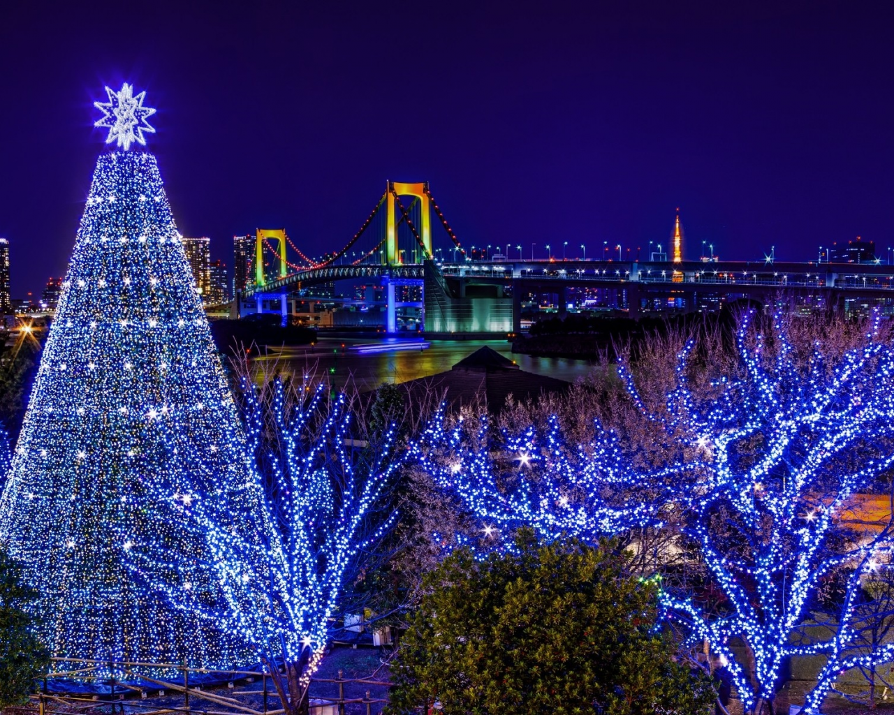 ёлка, Одайба, Odaiba, Токио, мост, радужный, гирлянда, Новый год, праздник, Tokyo