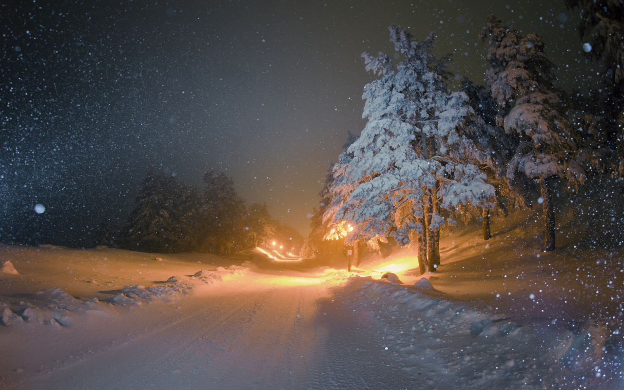 елки, фонари, ночь, освещение, зима, снег, дорога
