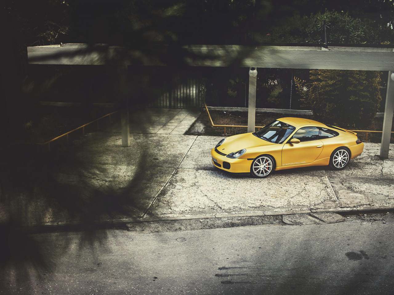 wildness, 996, porsche, порше, yellow, carrera