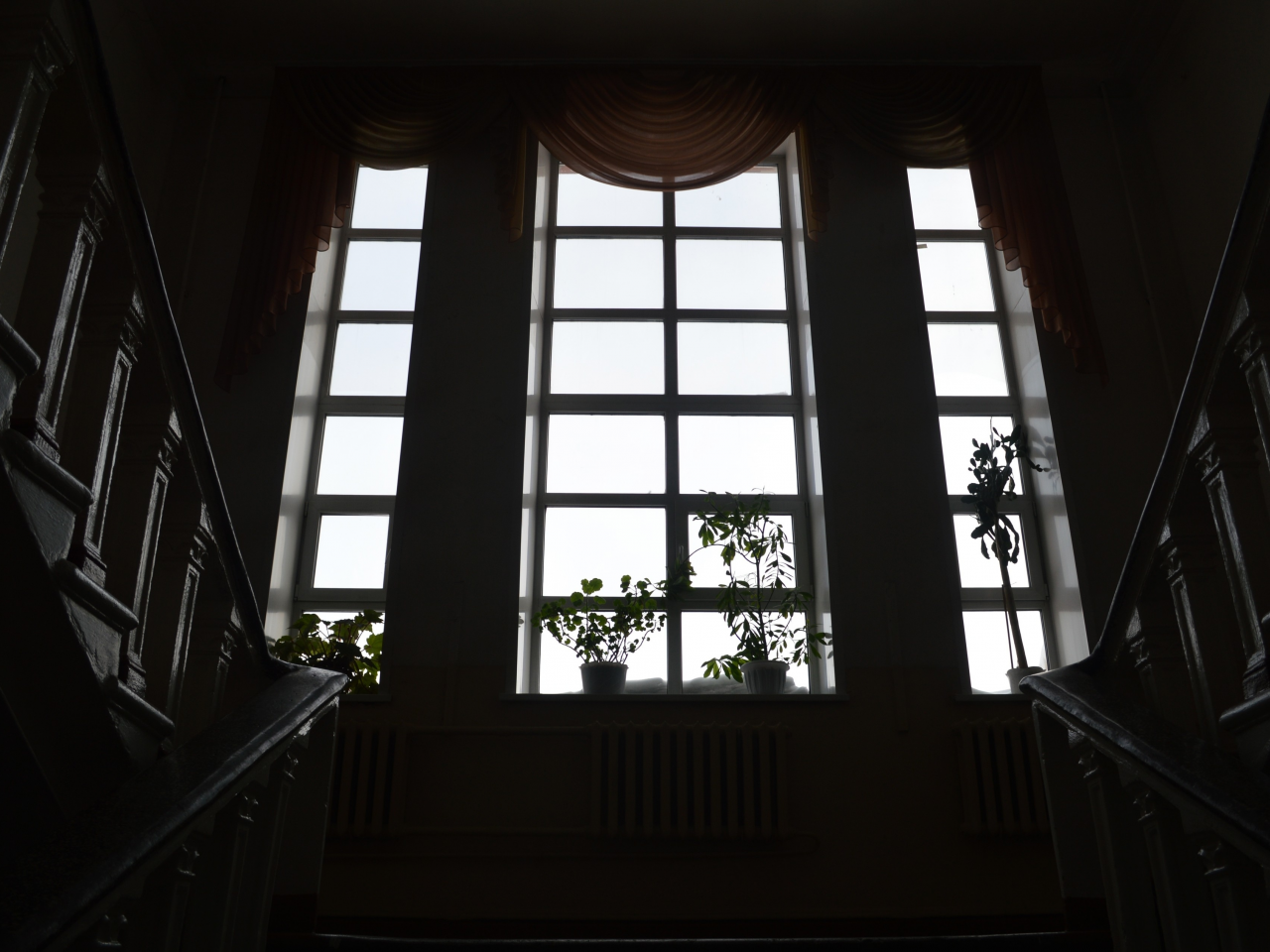 окно, лестница, цветы, подоконник, шторы, полумрак, черно-белые