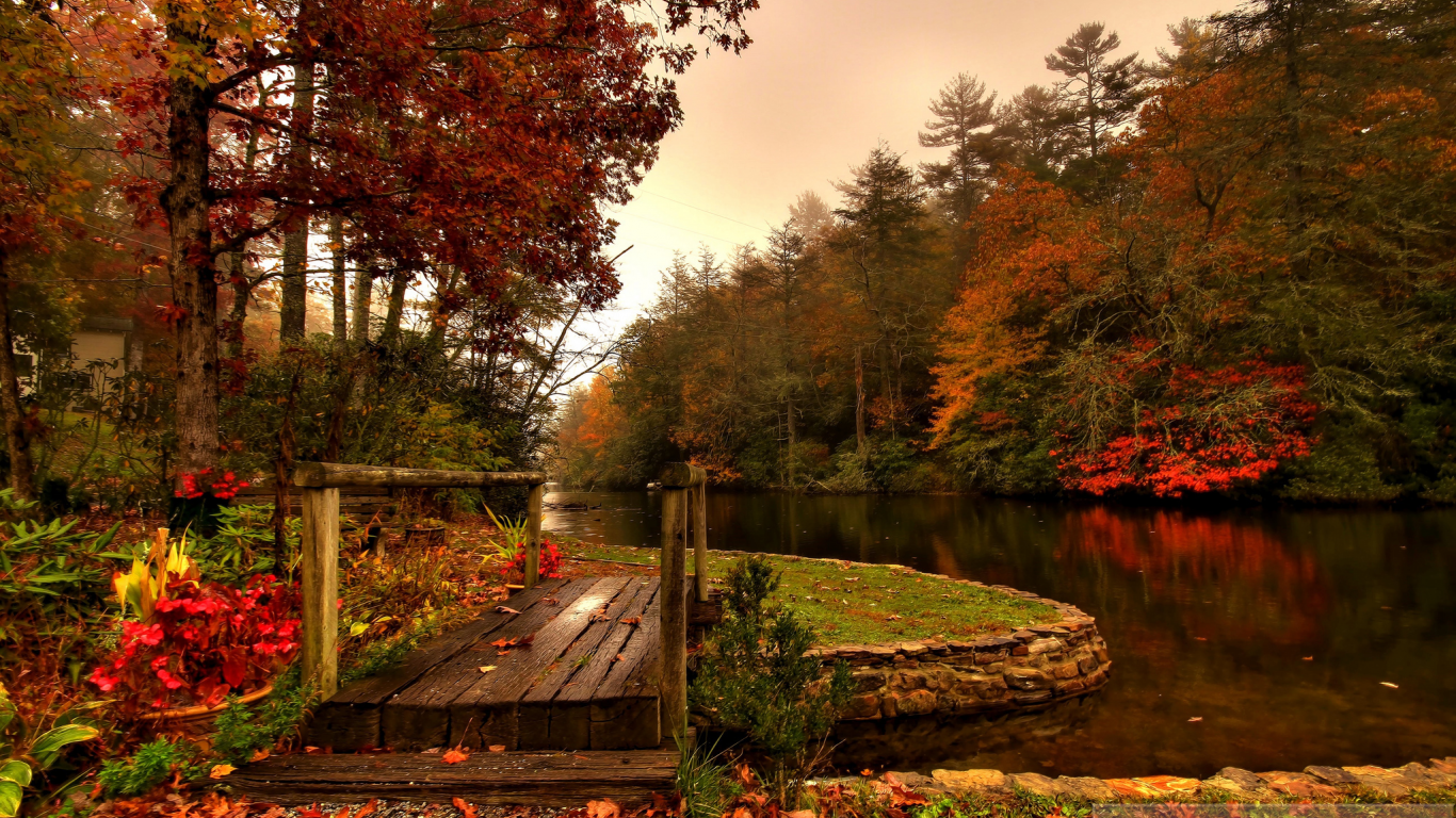 река, осень, лес, мостик