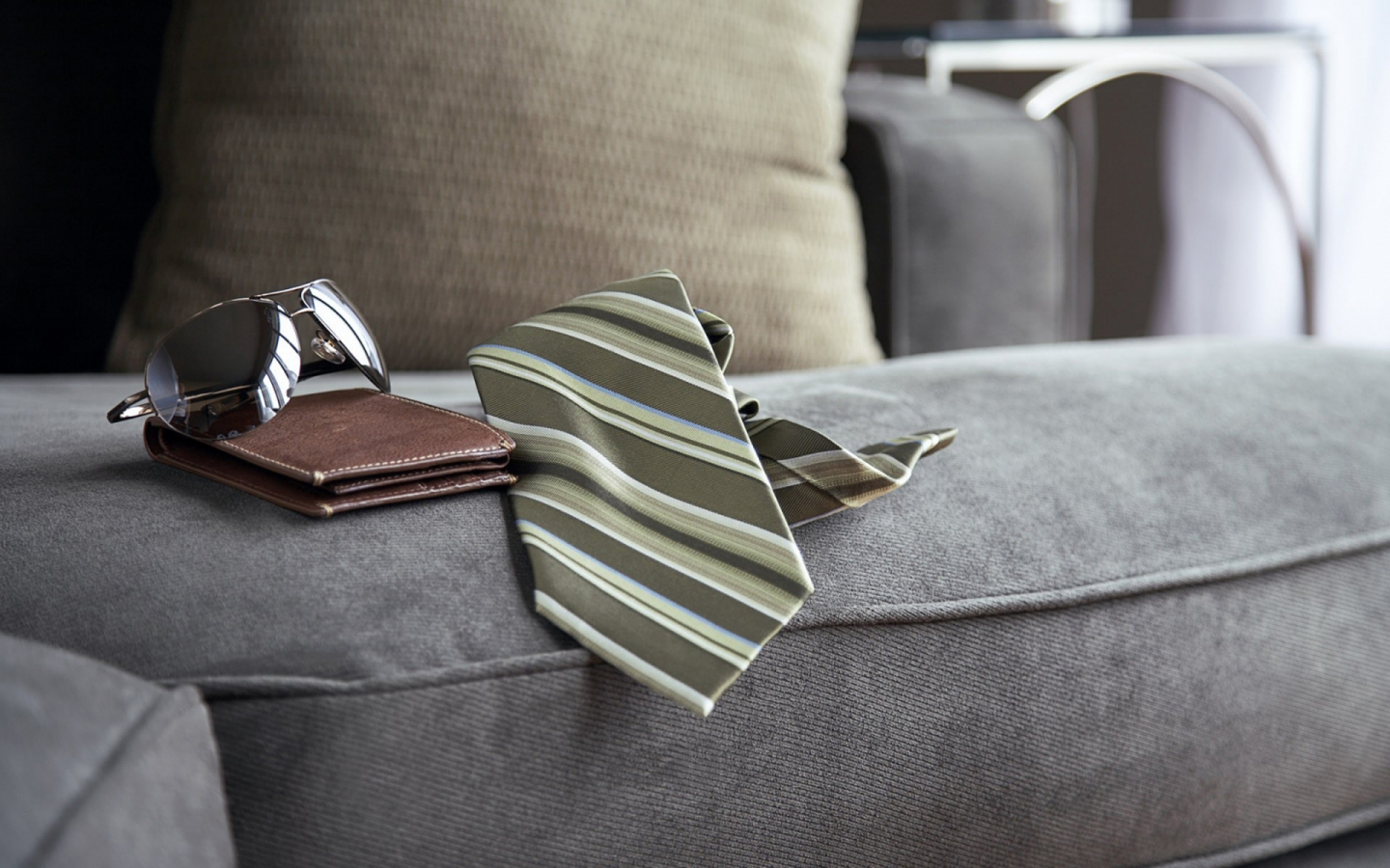 диван, кошелёк, галстук, очки