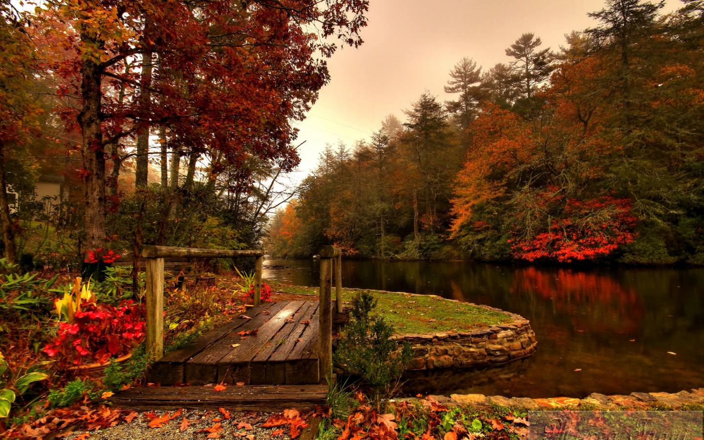 река, осень, лес, мостик