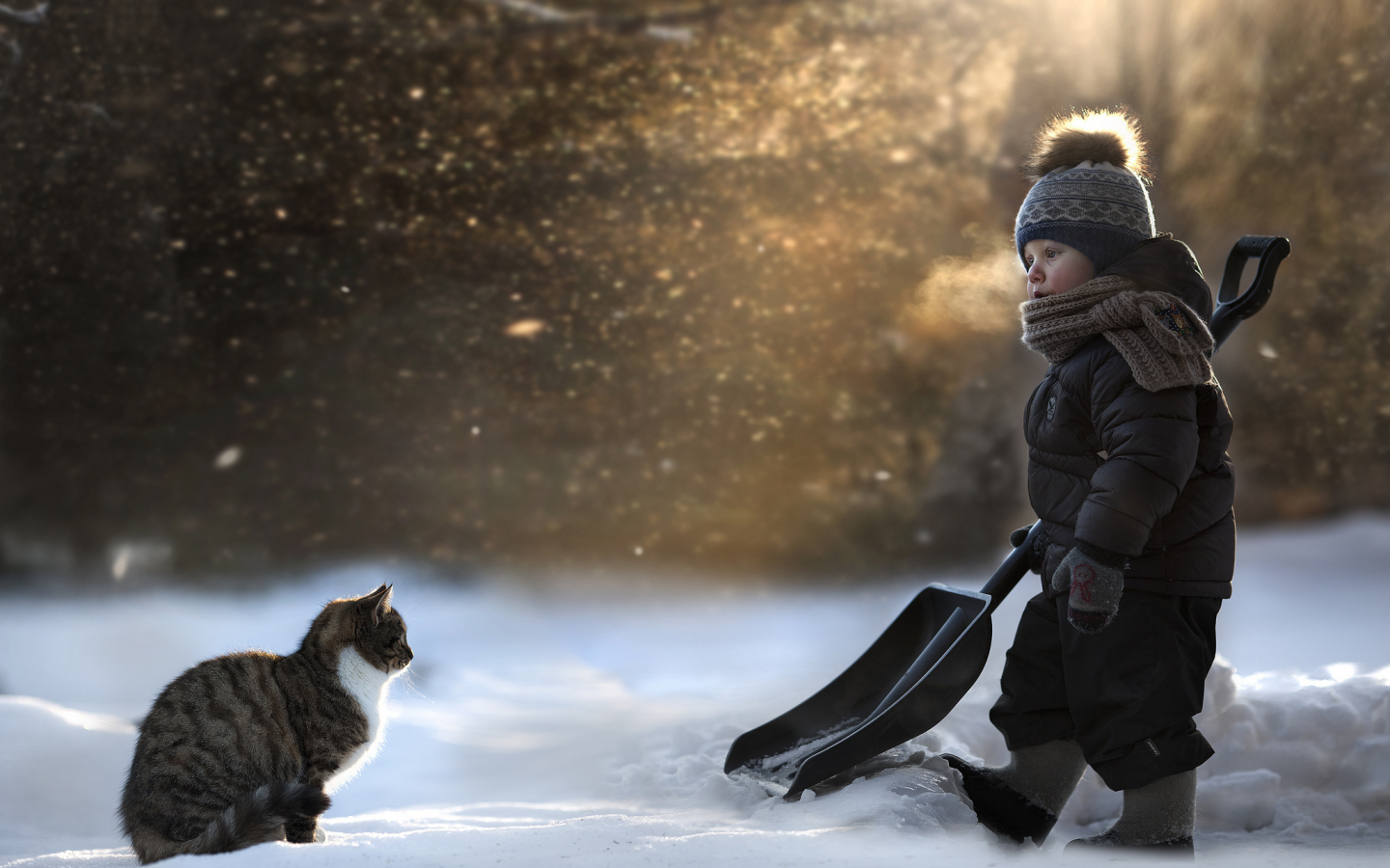ребёнок, снег, кошка, лопата