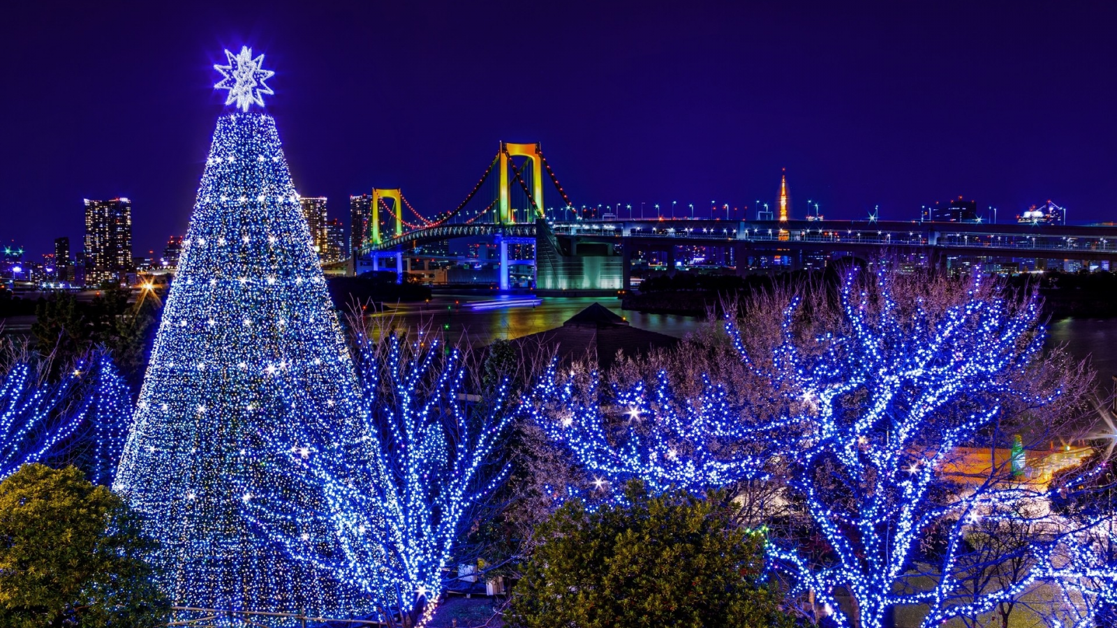 ёлка, Одайба, Odaiba, Токио, мост, радужный, гирлянда, Новый год, праздник, Tokyo