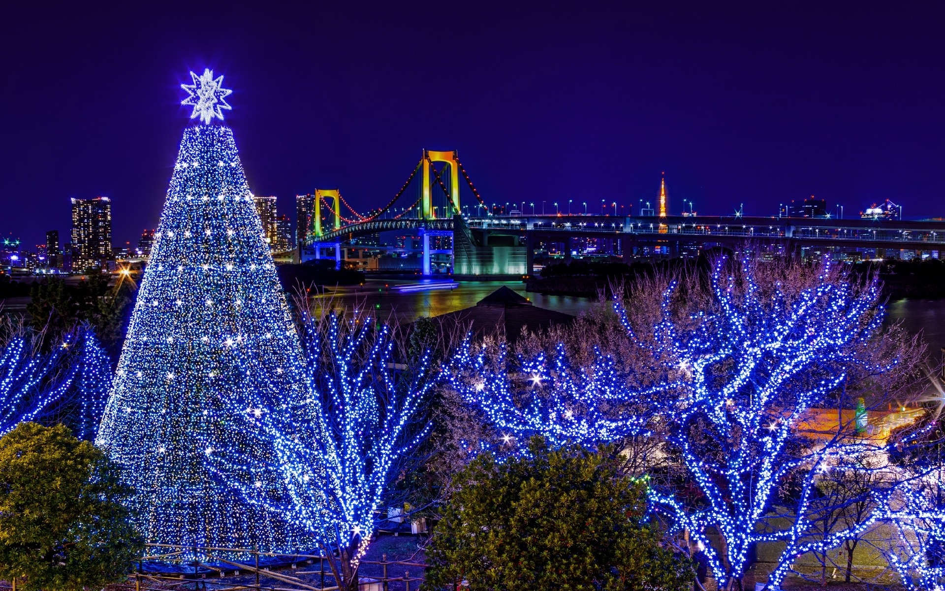 ёлка, Одайба, Odaiba, Токио, мост, радужный, гирлянда, Новый год, праздник, Tokyo