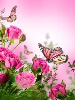 розы, butterflies, blossom, pink, beautiful, flowers, цветы, roses, бабочки