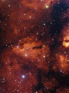 звёздное скопление, rcw 38, звезды, туманность, gum 22