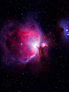 звёзды, orion nebula, туманность ориона