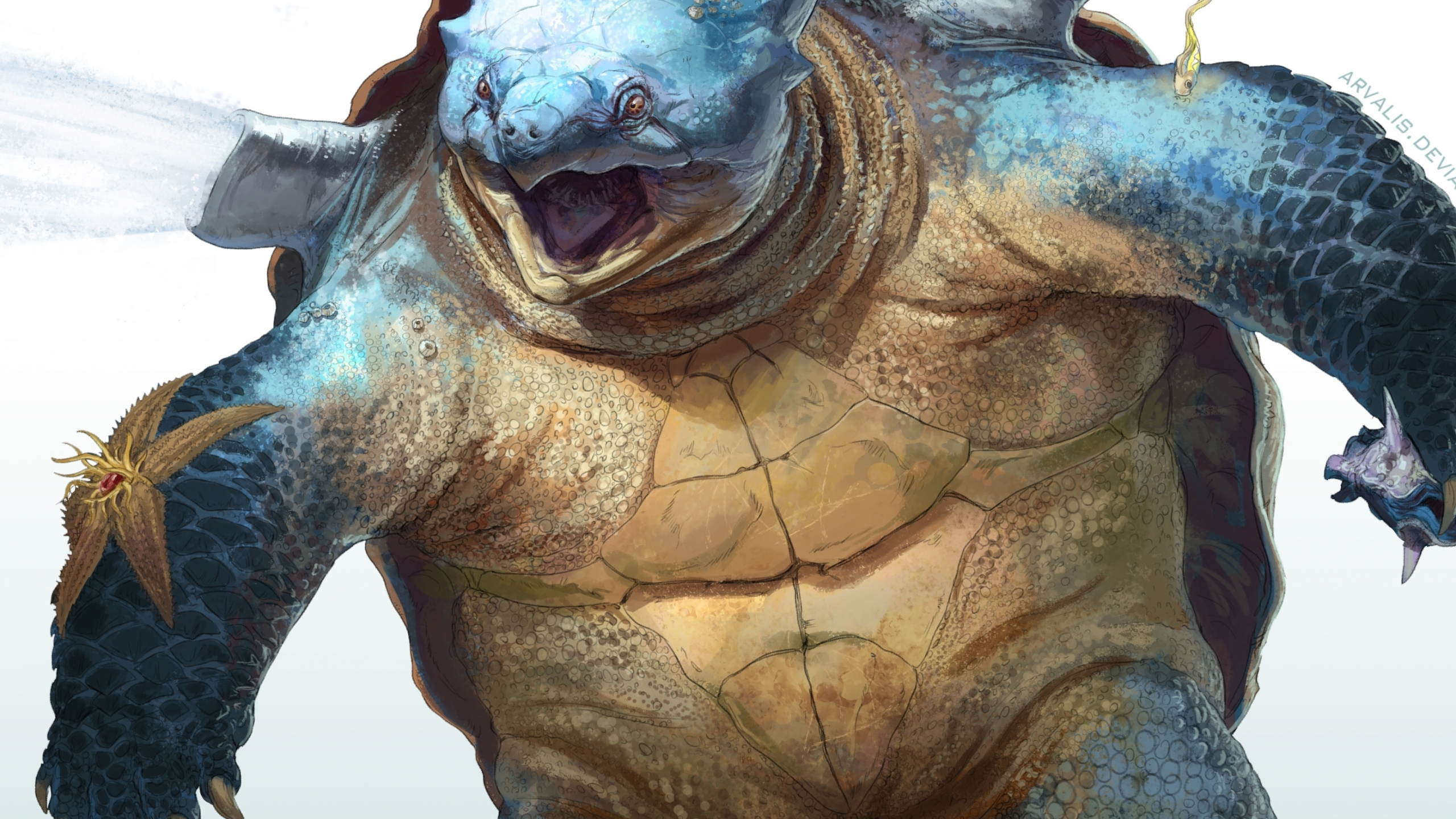 морской, черепаха, blastoise, покемон, панцирь