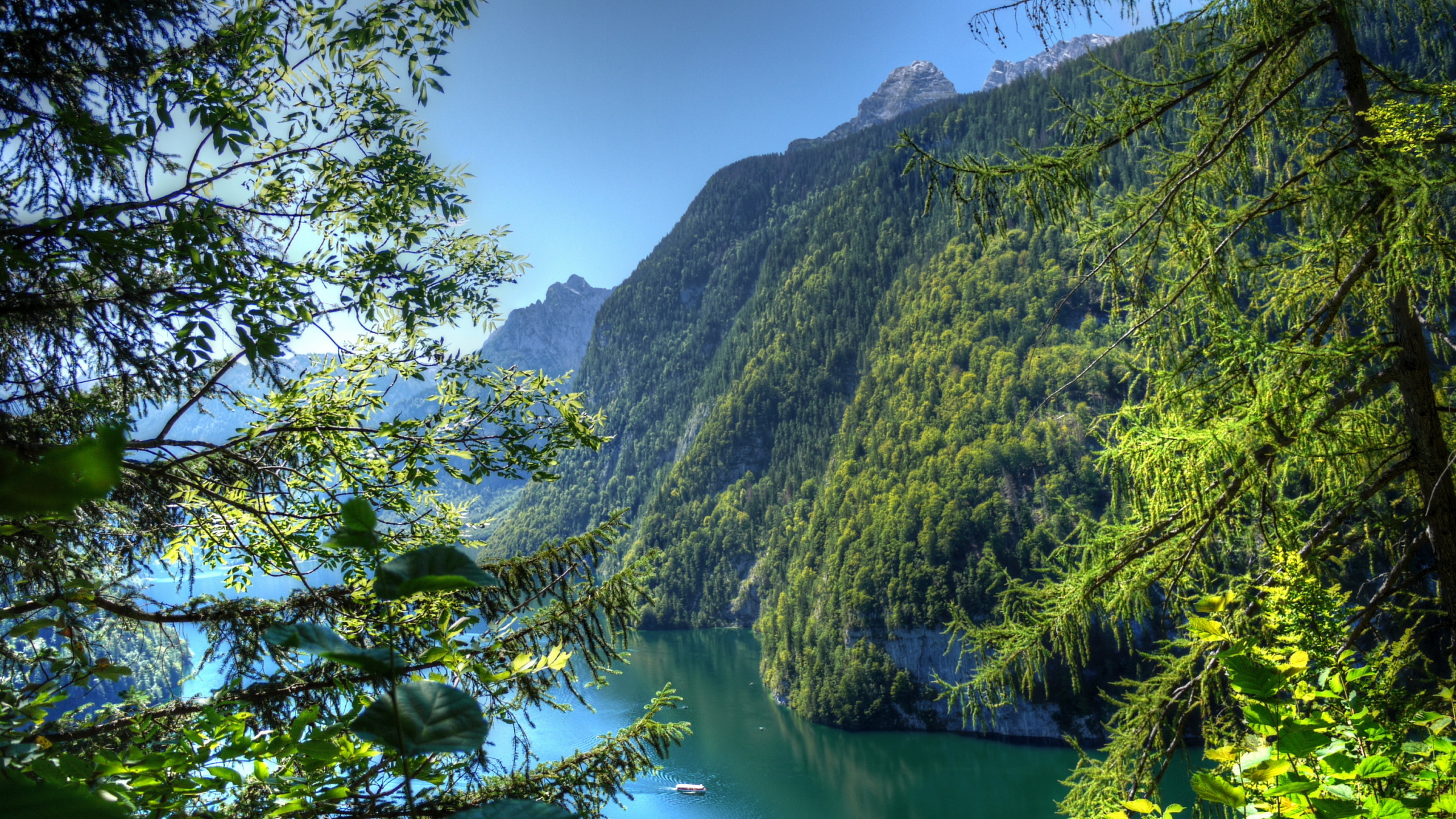 германия, природа, branches, nature, bavaria, бавария, germany, горы