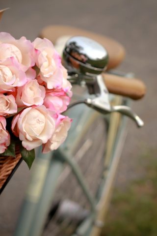 пакет, розы, корзина, белые, велосипед, цветы, розовые