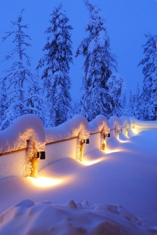 природа, зима, ель, новый год, 2015, снег, огоньки