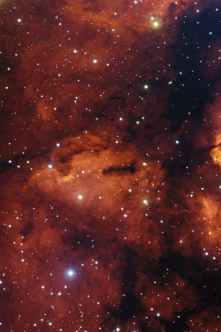 звёздное скопление, rcw 38, звезды, туманность, gum 22