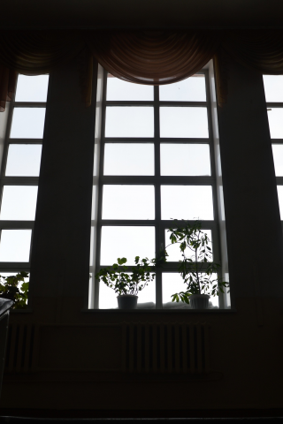 окно, лестница, цветы, подоконник, шторы, полумрак, черно-белые