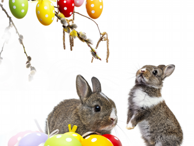 bunny, пасха, eggs, rabbit, easter, spring, flowers, decoration, willow twig, colorful