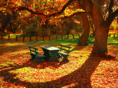 листья, забор, стол, осень, скамейки, деревья