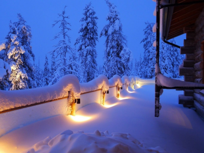 природа, зима, ель, новый год, 2015, снег, огоньки