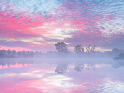 утро, деревья, небо, река, дымка, туман, заря, розовое