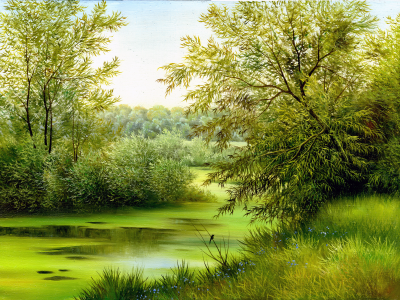 природа, живопись, холст, пейзаж, зелено, трава