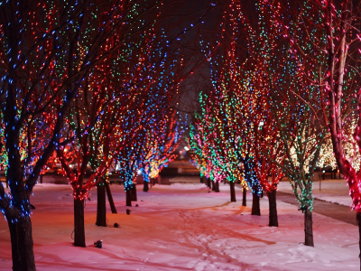 Парк, деревья, зима, снег, ветки, гирлянды, огоньки, освещение, праздник, New Year, Новый год