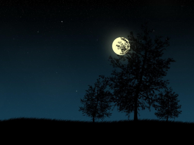 поле, дерево, ночь, луна, полнолуние, небо, безоблачно, силуэт, пейзаж, черный фон