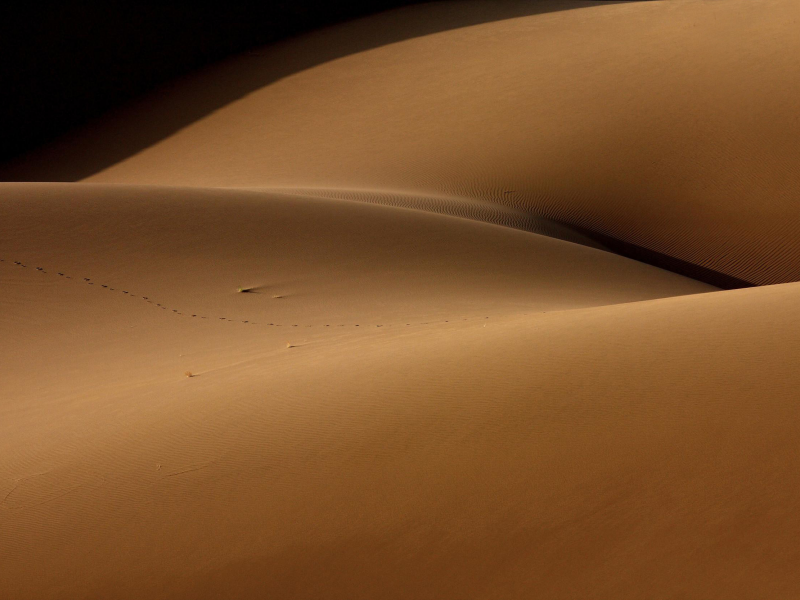 песок, desert and the human torso, пустыня