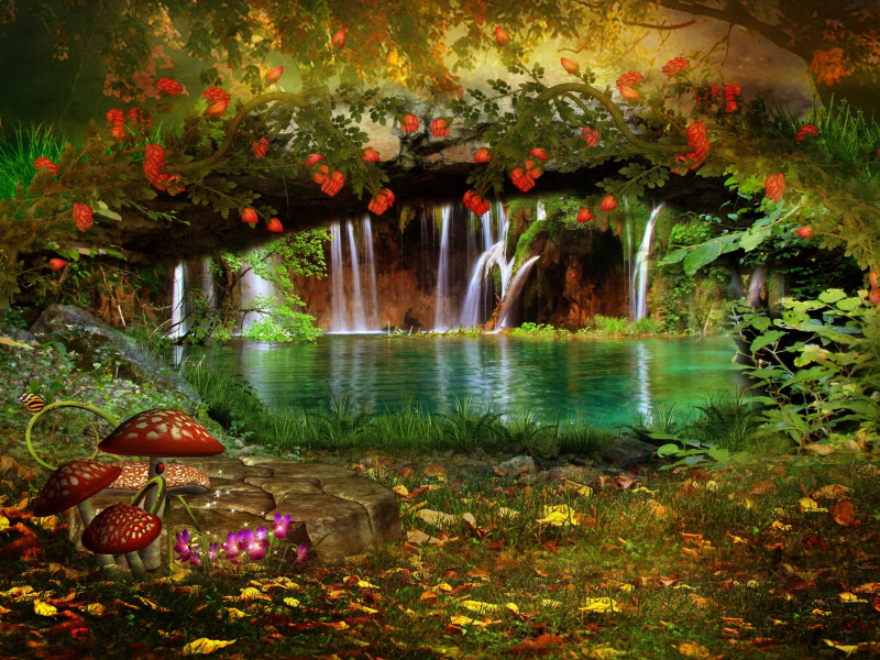 лиана, бабочка, пейзаж, водопад, грибы, цветы, природа