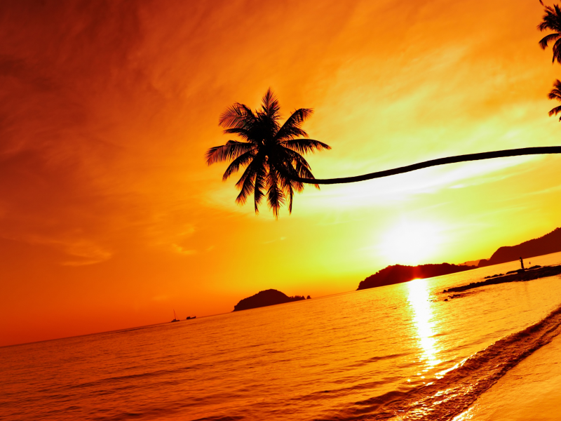 sky, nature, sunlight, shore, tropical beach sunset, ocean, palms, sea, clouds, landscape, beach