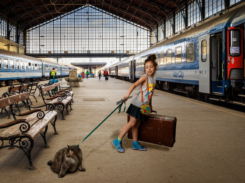 вагоны, поезд, девочка, перрон, кошка, чемодан