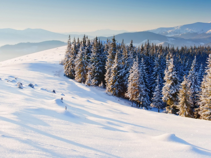 горы, winter, природа, зима, snow, деревья, снег, елки, фон