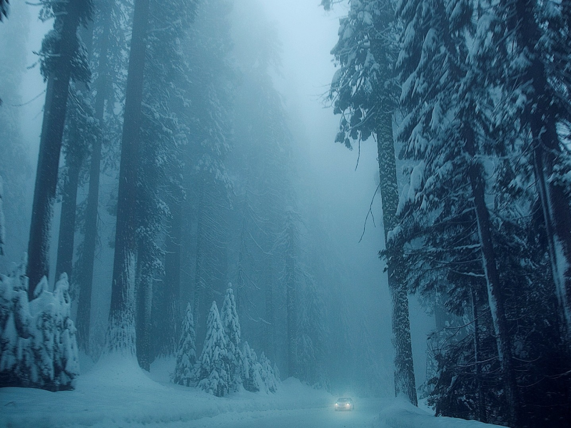 лес, дорога, деревья, величественные, снег, машина, заснеженность, вечер, сумерки, зима