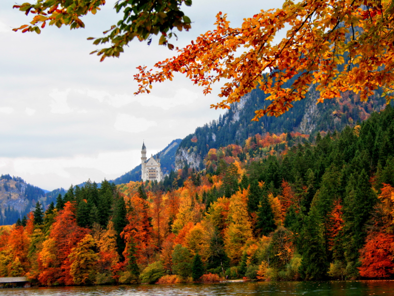 осень, лес, schwangau, bavaria, германия, бавария, nature, germany