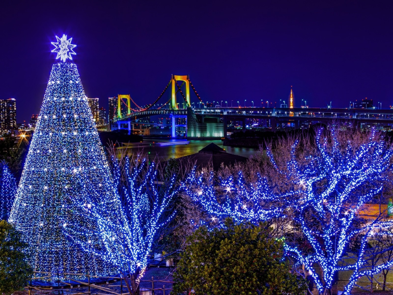 ёлка, Одайба, Odaiba, Токио, мост, радужный, гирлянда, Новый год, праздник, Tokyo