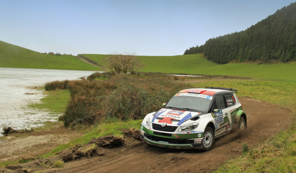 гонка, ралли, фабия, skoda, авто, спорт, rally, fabia, шкода