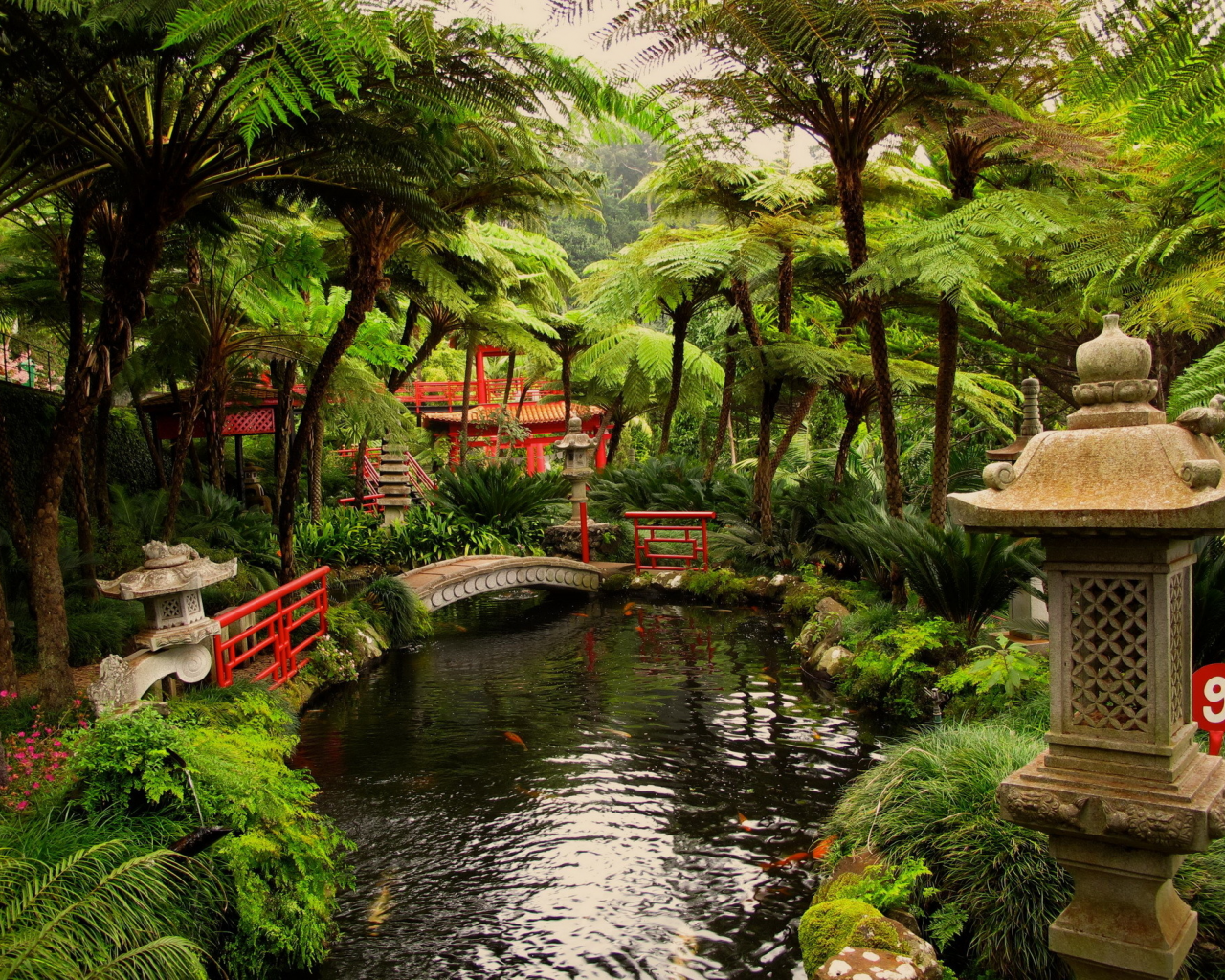 сады, японский, пруд